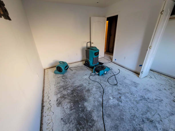 Fast Response Restoration by Professional Water Damage Repair Services in Central Washington